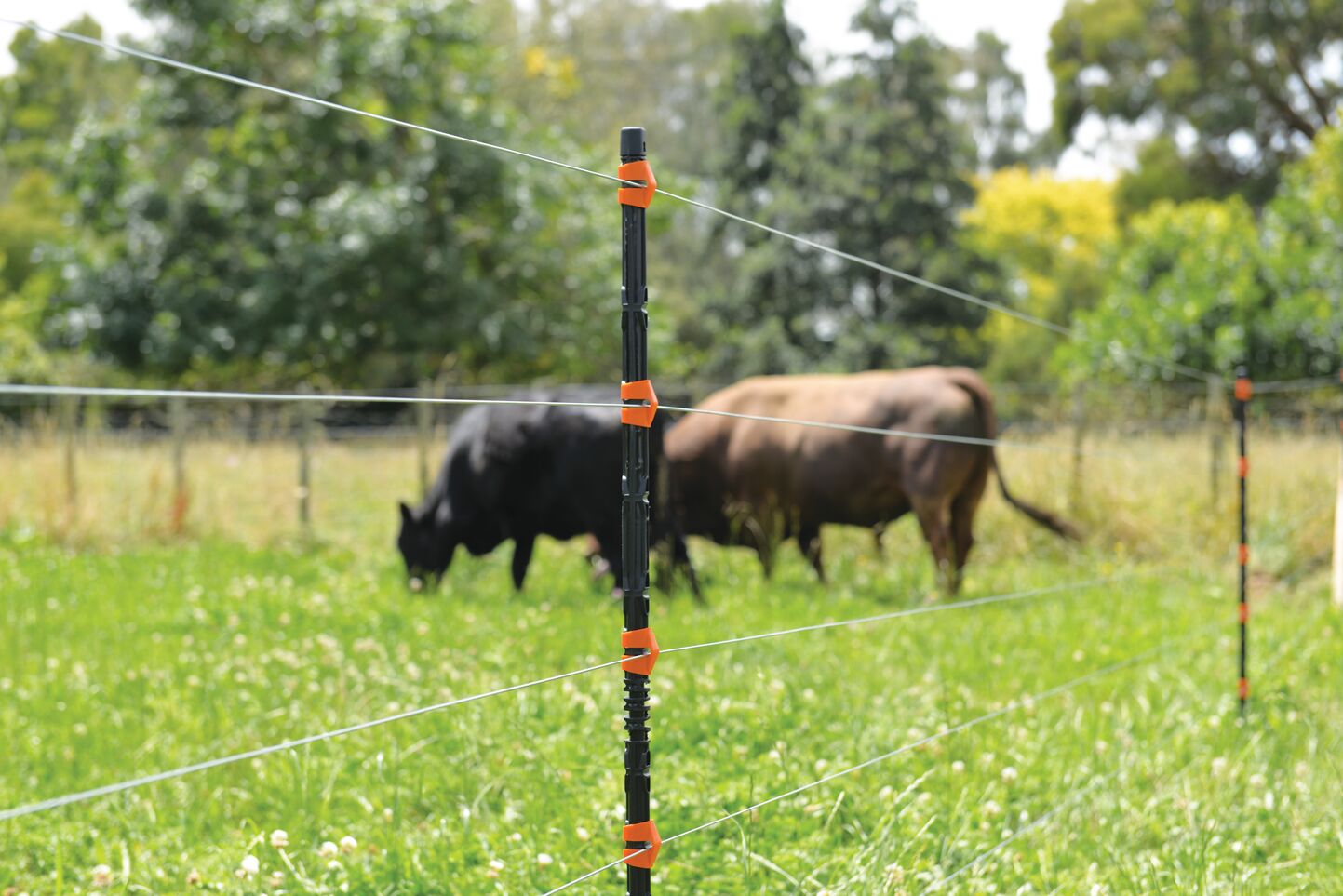 SITECORE-Insulated Line Post GGL_6222-General Purpose Insulated Line post on farm
