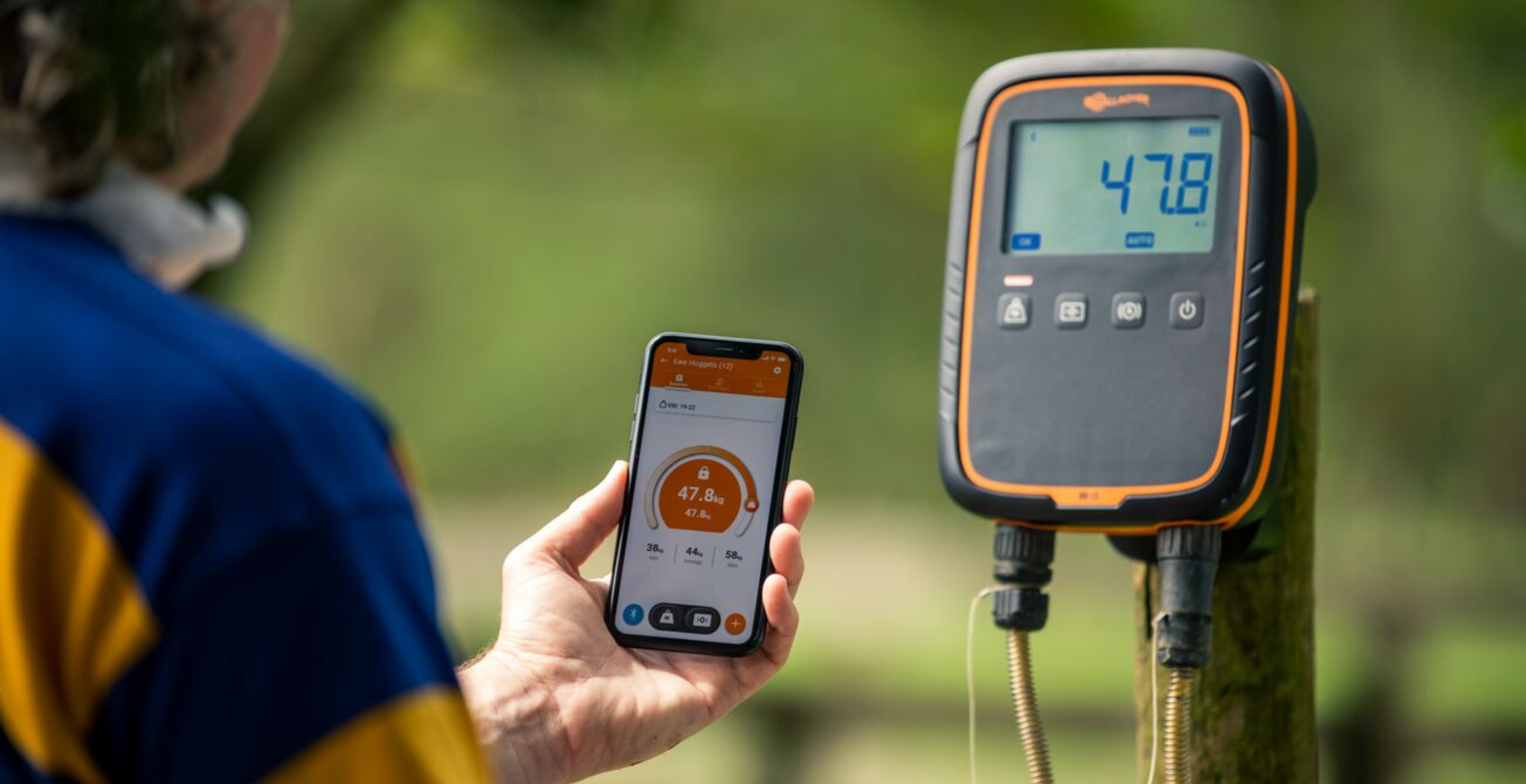 Simple, accurate and reliable weighing systems from Gallagher