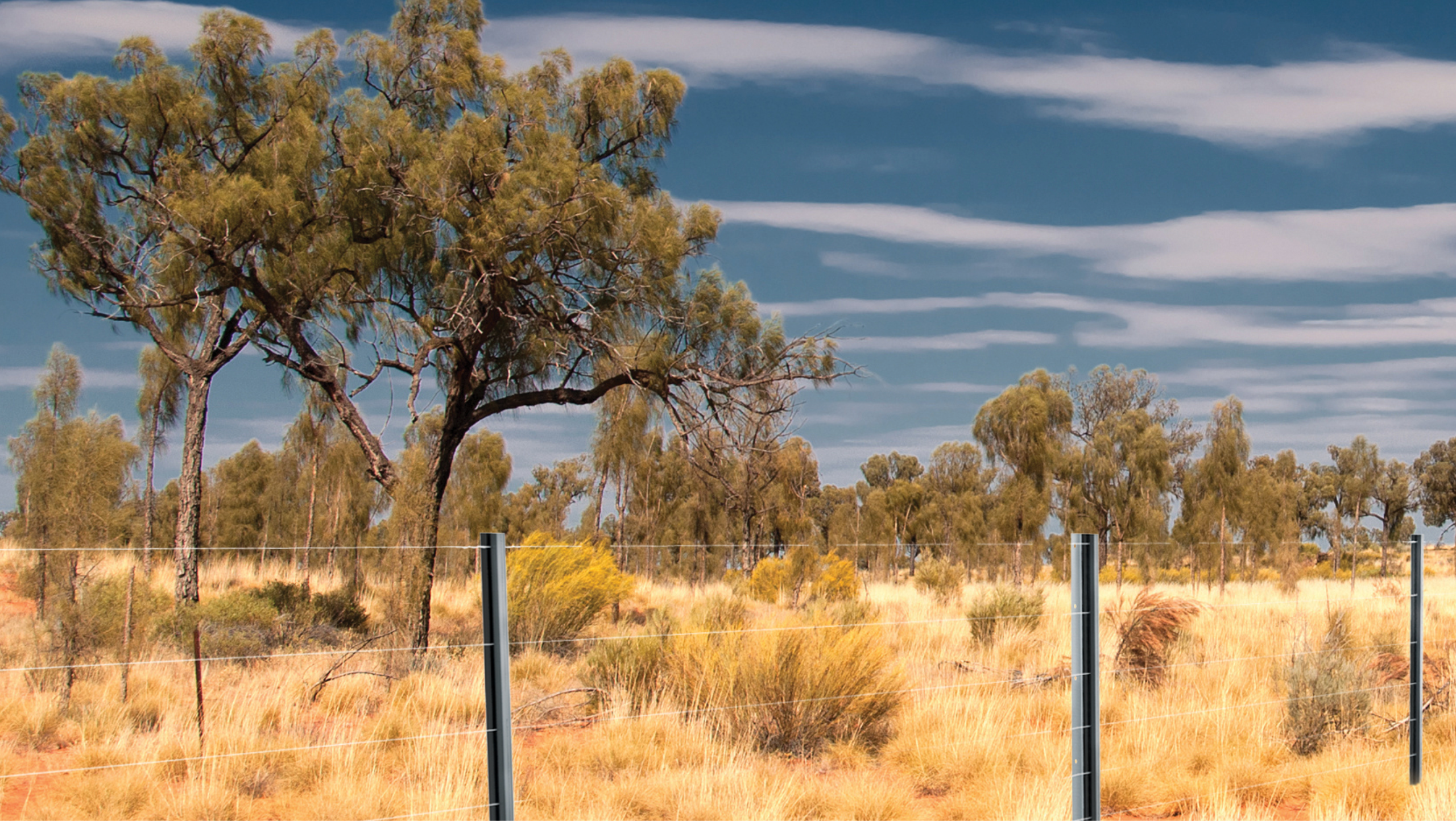 Permanent Livestock Fencing