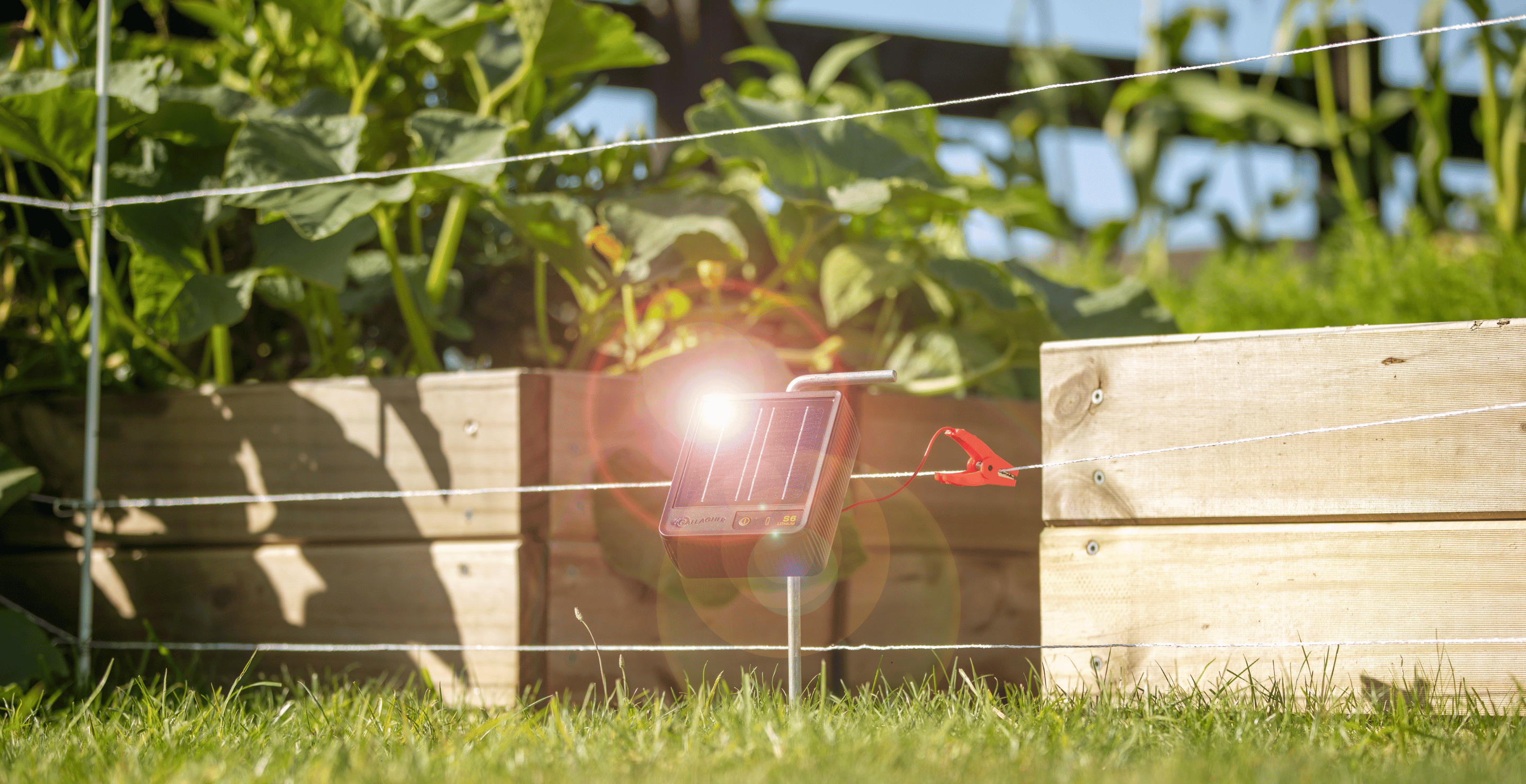 Pet and Garden Fencing