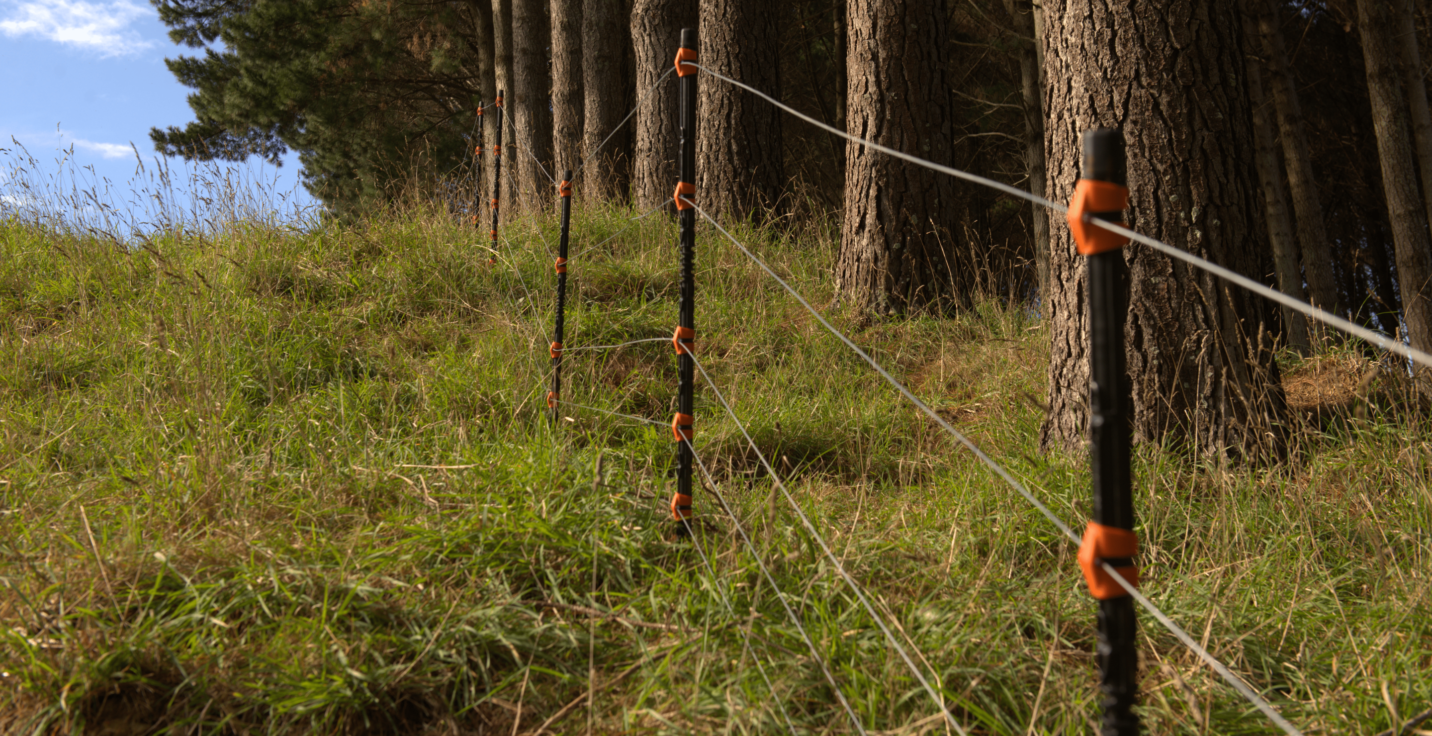 Wildlife Exclusion Fencing