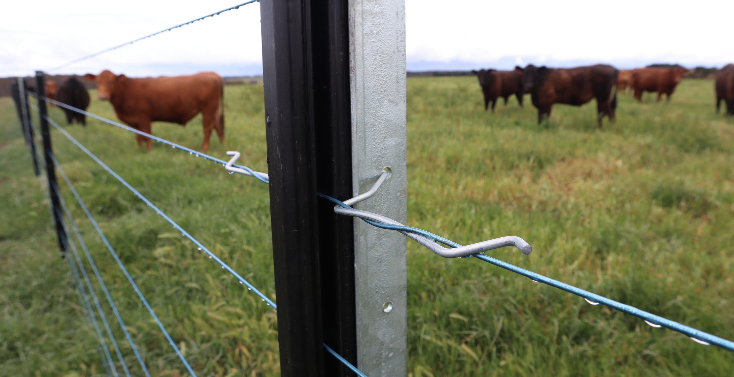 Wildlife Exclusion Fencing