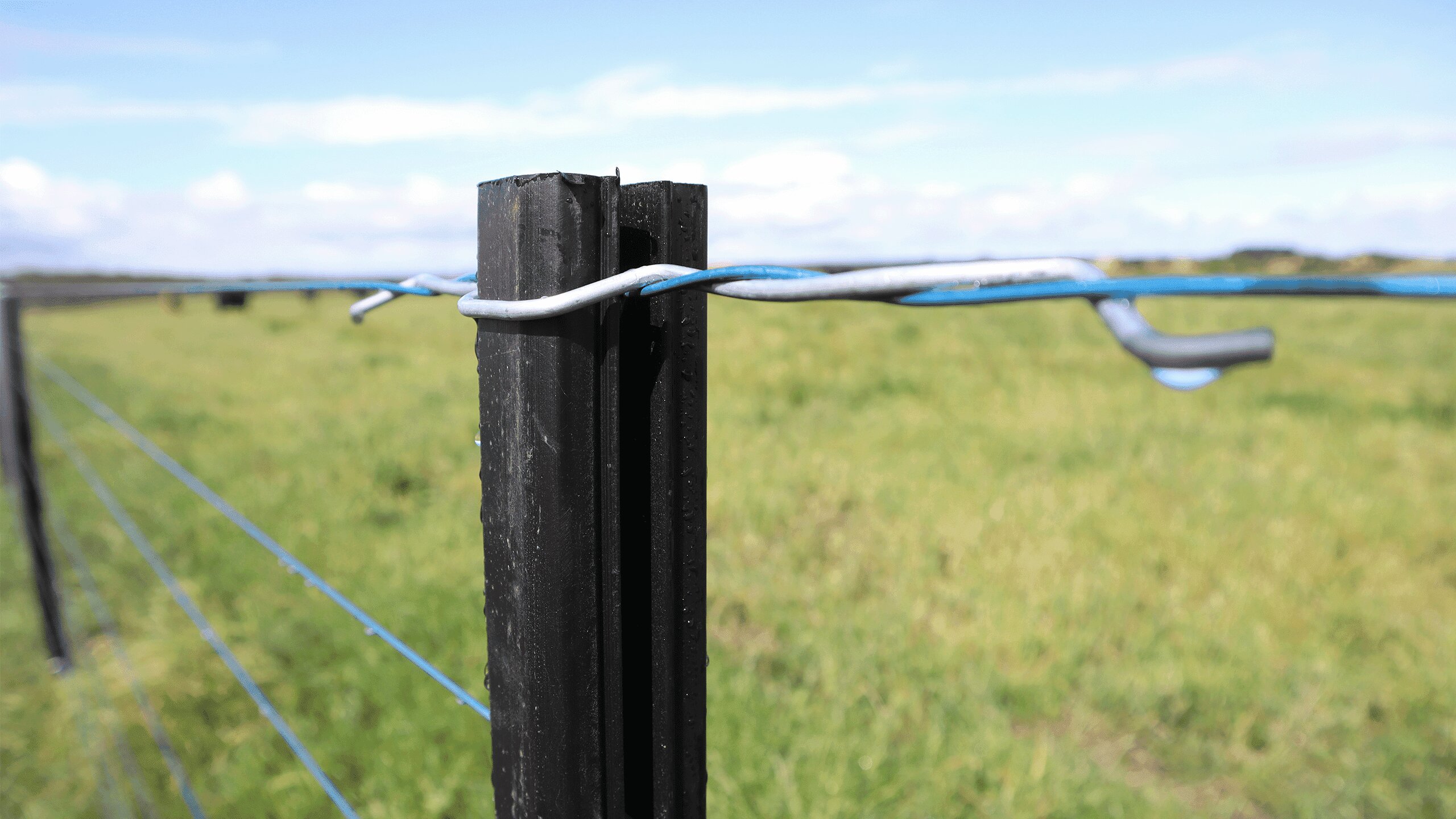 Permanent Electric Fencing