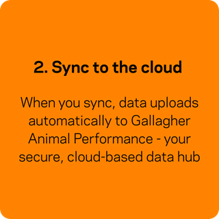 2. Sync to the cloud. When you sync, data uploads automatically to Gallagher Animal Performance - your secure, cloud-based data hub.