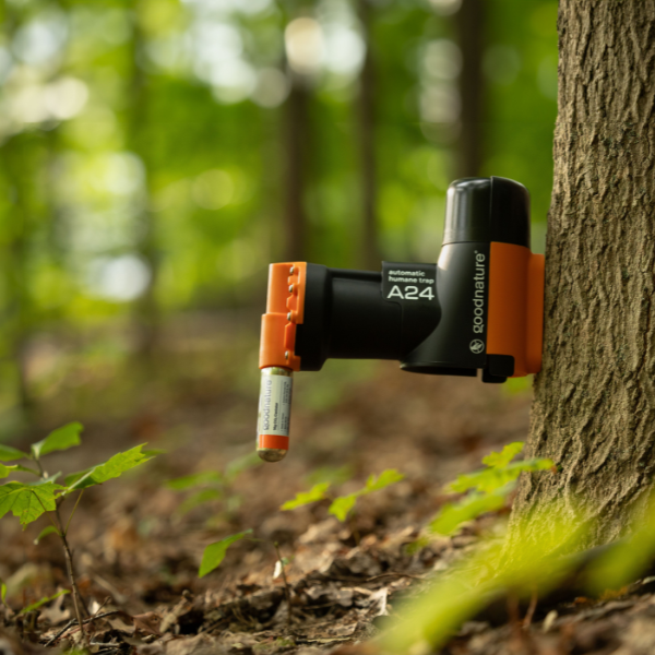 GNX Goodnature