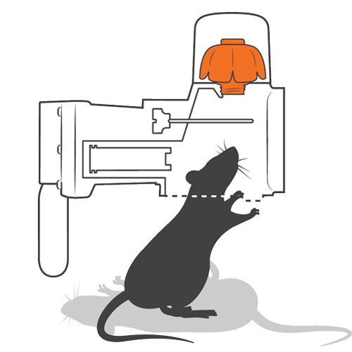 Goodnature trap how it works step 4 Goodnature trap how it works step 4